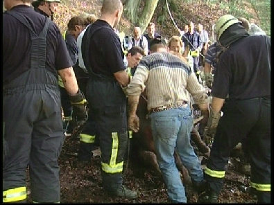 Die_Rettung_verlief_erfogreich_103_.jpg, 27.08.2006, 102 kB