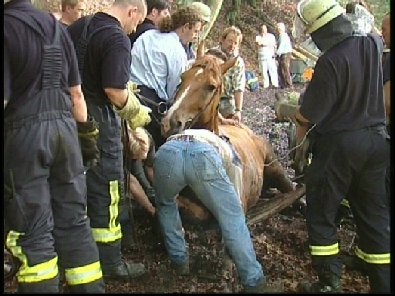 Die_Rettung_verlief_erfogreich_104_.jpg, 27.08.2006, 104 kB