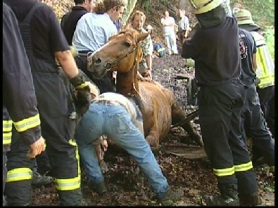 Die_Rettung_verlief_erfogreich_105_.jpg, 27.08.2006, 106 kB