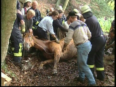 Die_Rettung_verlief_erfogreich_110_.jpg, 27.08.2006, 113 kB