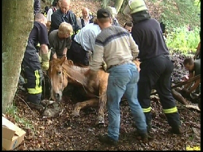 Die_Rettung_verlief_erfogreich_111_.jpg, 27.08.2006, 113 kB