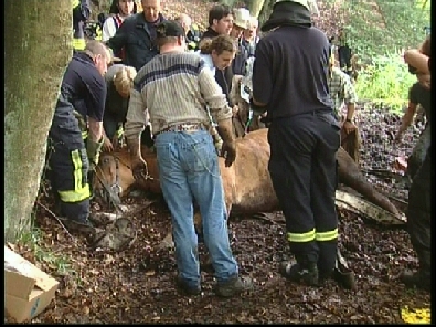 Die_Rettung_verlief_erfogreich_114_.jpg, 27.08.2006, 115 kB
