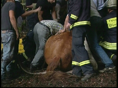 Die_Rettung_verlief_erfogreich_116_.jpg, 27.08.2006, 93 kB