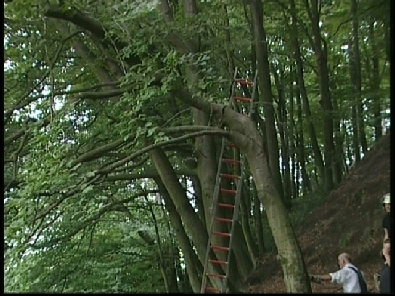 Die_Rettung_verlief_erfogreich_117_.jpg, 27.08.2006, 110 kB