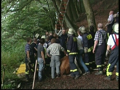 Die_Rettung_verlief_erfogreich_118_.jpg, 27.08.2006, 108 kB