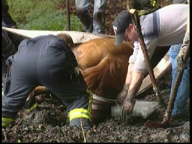 Die_Rettung_verlief_erfogreich_11_.jpg, 27.08.2006, 99 kB