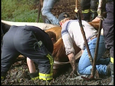 Die_Rettung_verlief_erfogreich_12_.jpg, 27.08.2006, 101 kB