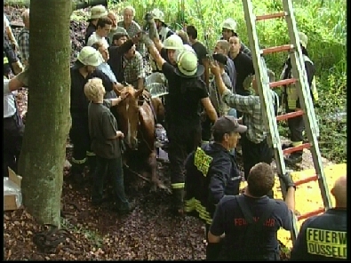 Die_Rettung_verlief_erfogreich_130_.jpg, 27.08.2006, 113 kB
