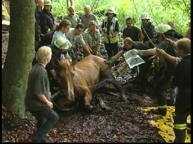 Die_Rettung_verlief_erfogreich_134_.jpg, 27.08.2006, 110 kB