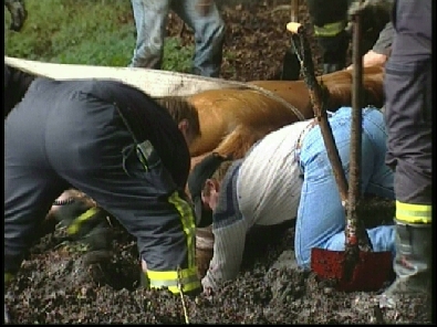 Die_Rettung_verlief_erfogreich_13_.jpg, 27.08.2006, 100 kB