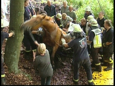 Die_Rettung_verlief_erfogreich_141_.jpg, 27.08.2006, 112 kB