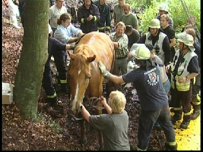 Die_Rettung_verlief_erfogreich_145_.jpg, 27.08.2006, 114 kB