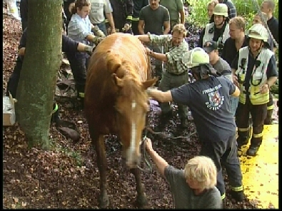 Die_Rettung_verlief_erfogreich_148_.jpg, 27.08.2006, 112 kB