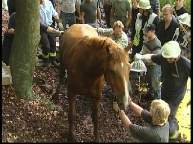 Die_Rettung_verlief_erfogreich_151_.jpg, 27.08.2006, 109 kB