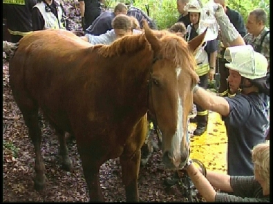 Die_Rettung_verlief_erfogreich_160_.jpg, 27.08.2006, 101 kB
