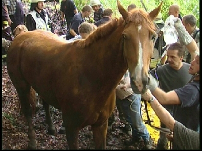 Die_Rettung_verlief_erfogreich_161_.jpg, 27.08.2006, 102 kB