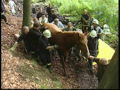 Die_Rettung_verlief_erfogreich_171_.jpg, 27.08.2006, 116 kB