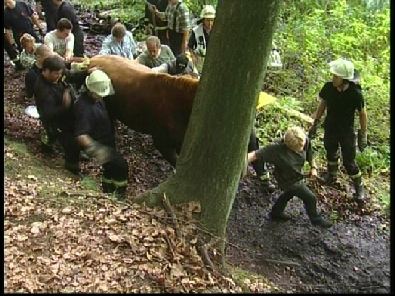Die_Rettung_verlief_erfogreich_173_.jpg, 27.08.2006, 116 kB