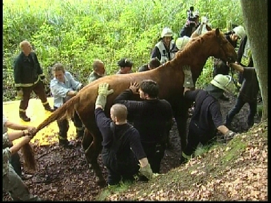 Die_Rettung_verlief_erfogreich_176_.jpg, 27.08.2006, 117 kB