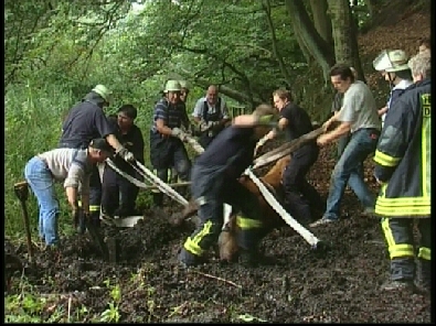 Die_Rettung_verlief_erfogreich_17_.jpg, 27.08.2006, 114 kB