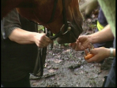 Die_Rettung_verlief_erfogreich_180_.jpg, 27.08.2006, 81 kB