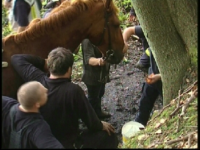 Die_Rettung_verlief_erfogreich_181_.jpg, 27.08.2006, 102 kB