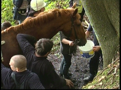 Die_Rettung_verlief_erfogreich_182_.jpg, 27.08.2006, 104 kB