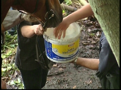 Die_Rettung_verlief_erfogreich_187_.jpg, 27.08.2006, 97 kB