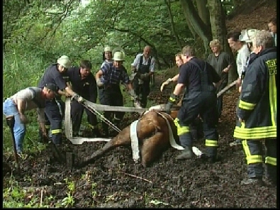 Die_Rettung_verlief_erfogreich_18_.jpg, 27.08.2006, 114 kB