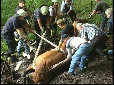 Die_Rettung_verlief_erfogreich_34_.jpg, 27.08.2006, 114 kB