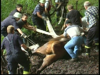 Die_Rettung_verlief_erfogreich_37_.jpg, 27.08.2006, 110 kB