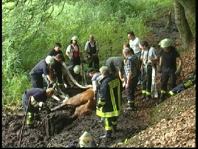 Die_Rettung_verlief_erfogreich_41_.jpg, 27.08.2006, 121 kB