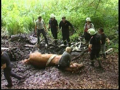 Die_Rettung_verlief_erfogreich_45_.jpg, 27.08.2006, 119 kB