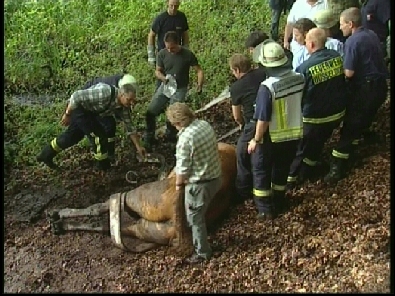 Die_Rettung_verlief_erfogreich_74_.jpg, 27.08.2006, 113 kB